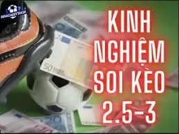 Cách Đặt Kèo 2.5-3 Tại Xin88